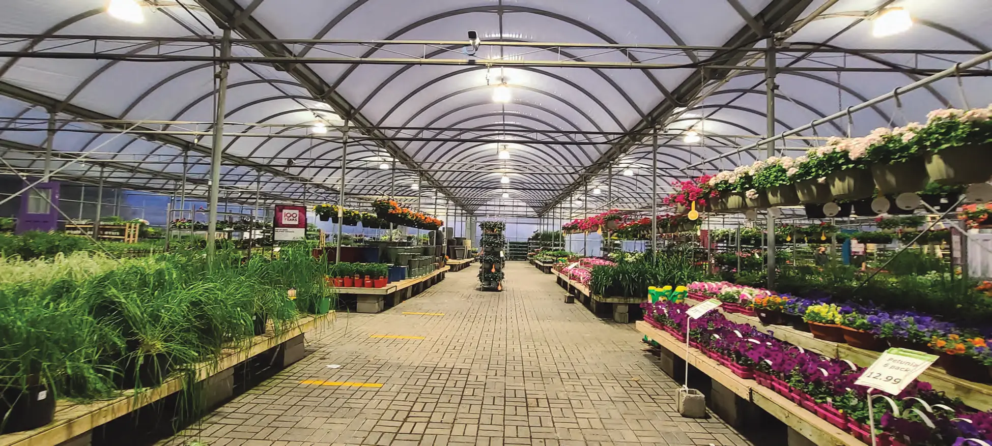 Growing Savings While Helping The Environment